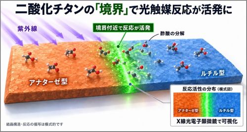 二酸化チタンの「境界」で光触媒反応が活発に