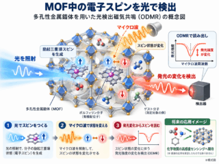 東大など、多孔性金属錯体中の電子スピンを光で検出